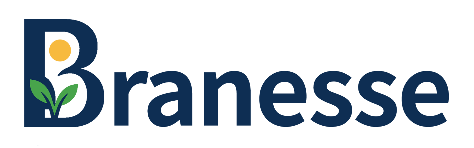 合同会社ブラネス/Branesse LCC
